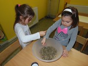 Vůně bylinek a čajů